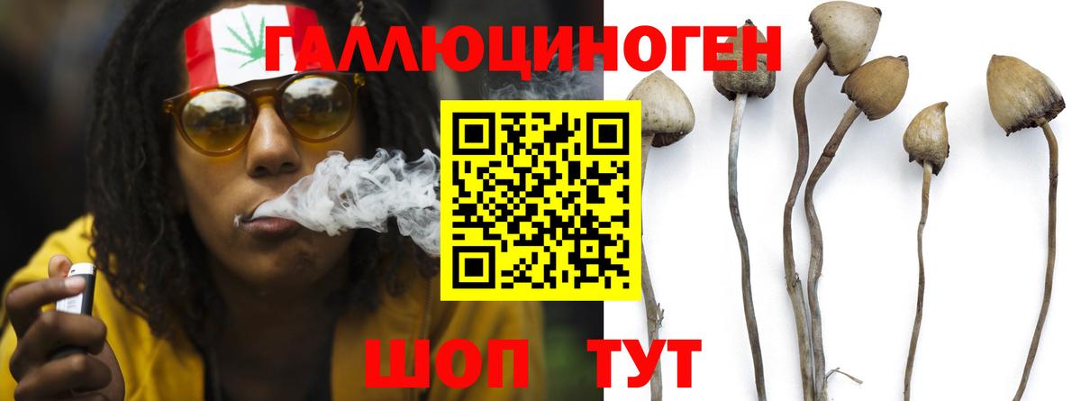 Псилоцибиновые грибы прущие грибы  Вход с VPN  Гусев 
