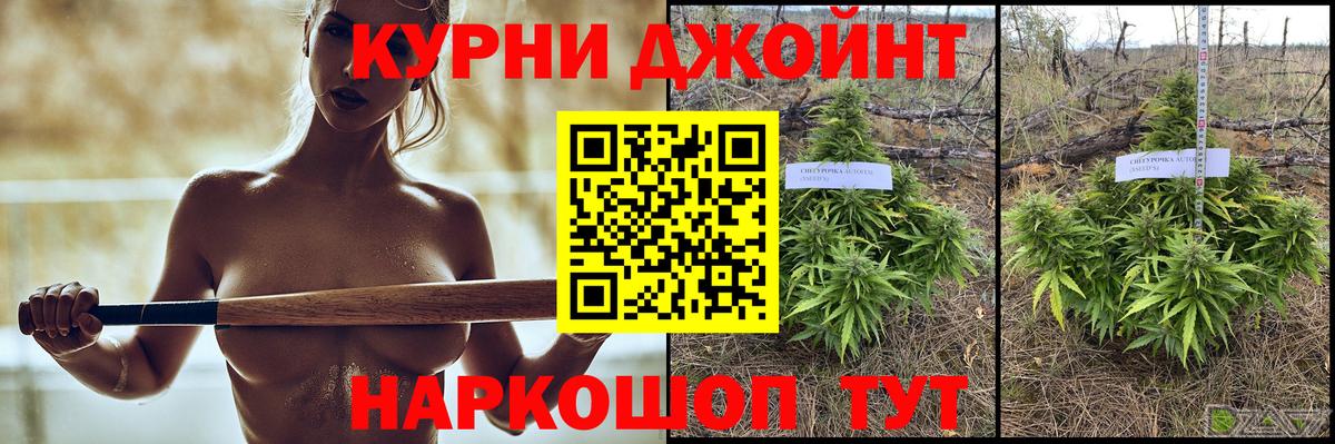 Каннабис White Widow  Марихуана планчик  Вход с VPN  Канабис семена  Гусев 